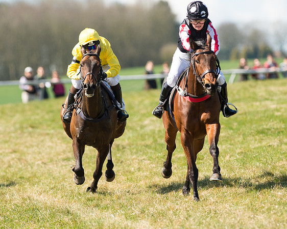 Pony Races  (88 of 134).jpg