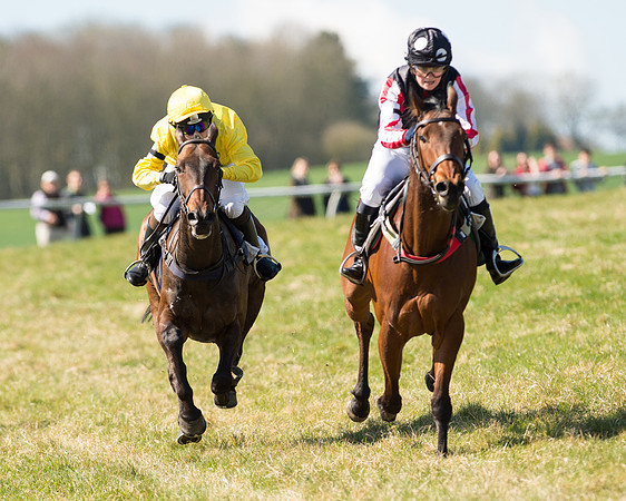 Pony Races  (89 of 134).jpg