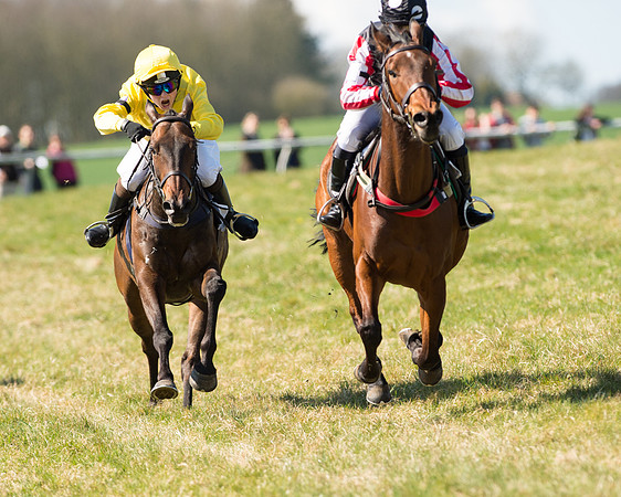Pony Races  (90 of 134).jpg