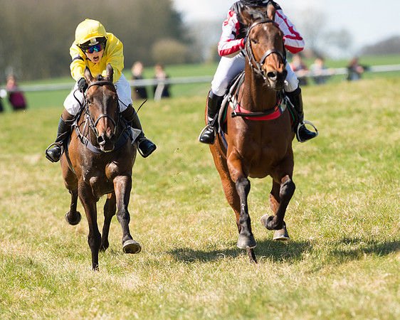 Pony Races  (91 of 134).jpg