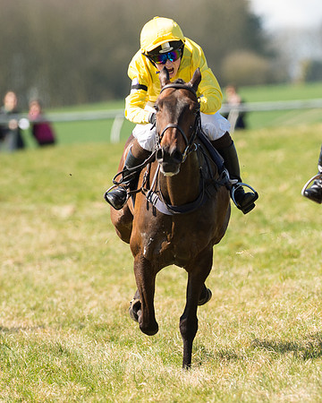 Pony Races  (92 of 134).jpg
