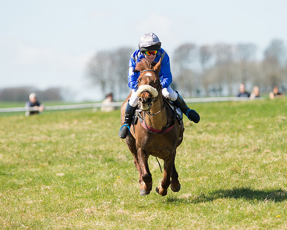 Pony Races  (93 of 134).jpg