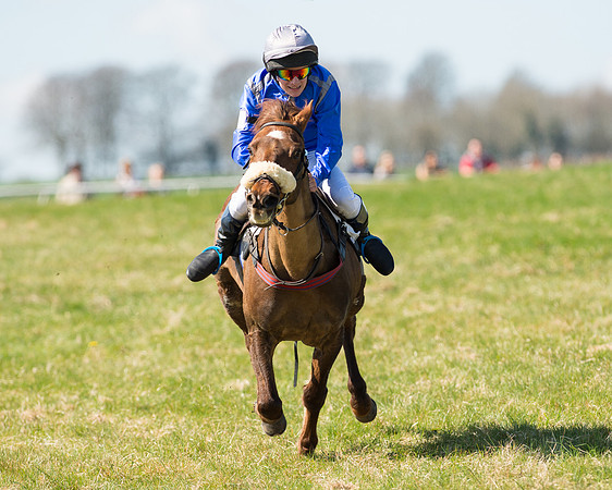 Pony Races  (97 of 134).jpg