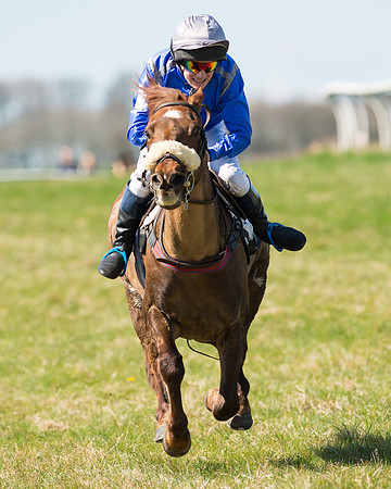 Pony Races  (98 of 134).jpg
