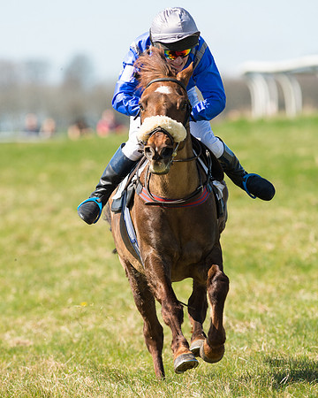 Pony Races  (99 of 134).jpg