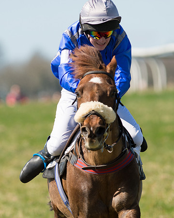 Pony Races  (100 of 134).jpg