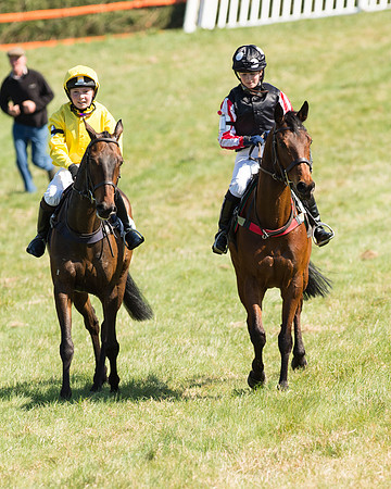 Pony Races  (106 of 134).jpg