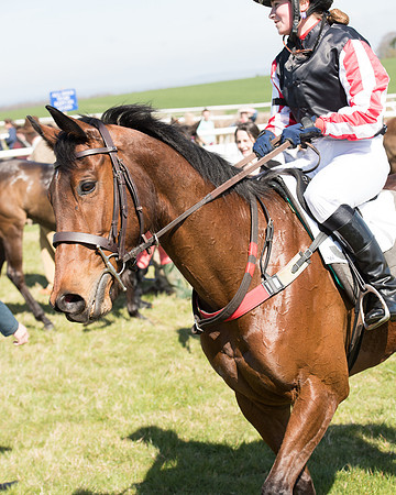 Pony Races  (111 of 134).jpg
