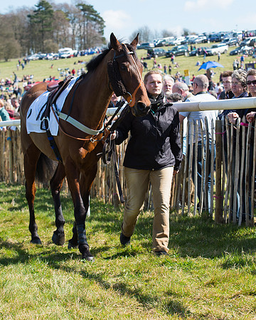 Race 1 - Hunt Members  (12 of 95).jpg