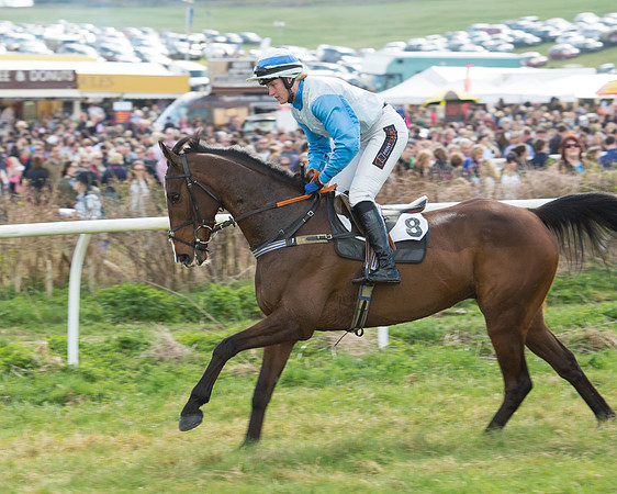 Race 2 - Confined Hunts (17 of 109).jpg