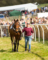 Race 3 - Mixed Open (2 of 86).jpg
