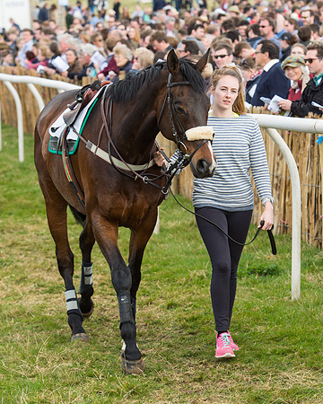 Race 4 - Novice and Veteran riders (4 of 131).jpg