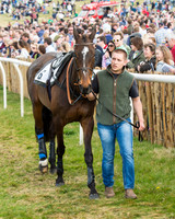 Race 4 - Novice and Veteran riders (5 of 131).jpg