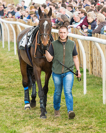 Race 4 - Novice and Veteran riders (6 of 131).jpg