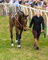 Race 4 - Novice and Veteran riders (8 of 131).jpg