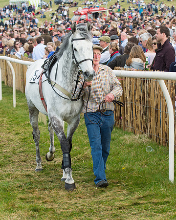 Race 4 - Novice and Veteran riders (13 of 131).jpg