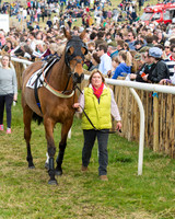 Race 4 - Novice and Veteran riders (19 of 131).jpg