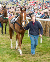 Race 4 - Novice and Veteran riders (20 of 131).jpg