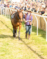 Race 5 - Restricted (5 of 93).jpg