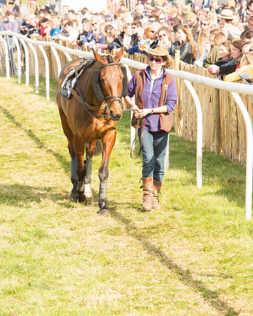 Race 5 - Restricted (6 of 93).jpg