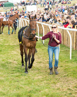 Race 5 - Restricted (8 of 93).jpg