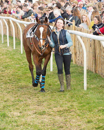 Race 5 - Restricted (9 of 93).jpg