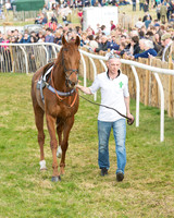 Race 5 - Restricted (11 of 93).jpg