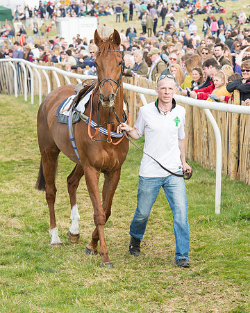 Race 5 - Restricted (12 of 93).jpg
