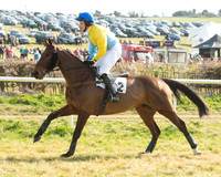 Race 5 - Restricted (14 of 93).jpg