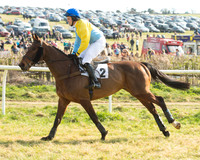 Race 5 - Restricted (15 of 93).jpg
