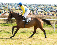 Race 5 - Restricted (16 of 93).jpg