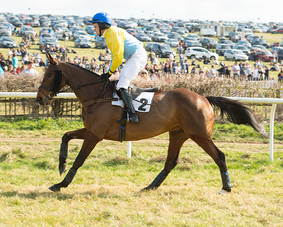 Race 5 - Restricted (16 of 93).jpg
