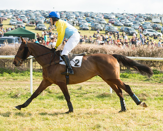 Race 5 - Restricted (17 of 93).jpg