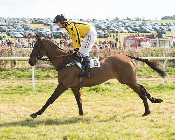 Race 5 - Restricted (18 of 93).jpg
