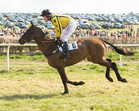 Race 5 - Restricted (19 of 93).jpg