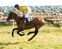 Race 5 - Restricted (20 of 93).jpg