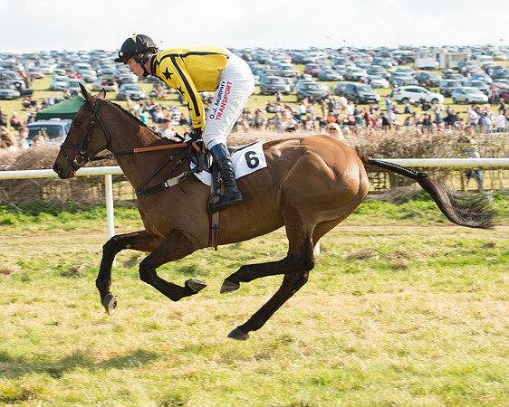 Race 5 - Restricted (20 of 93).jpg