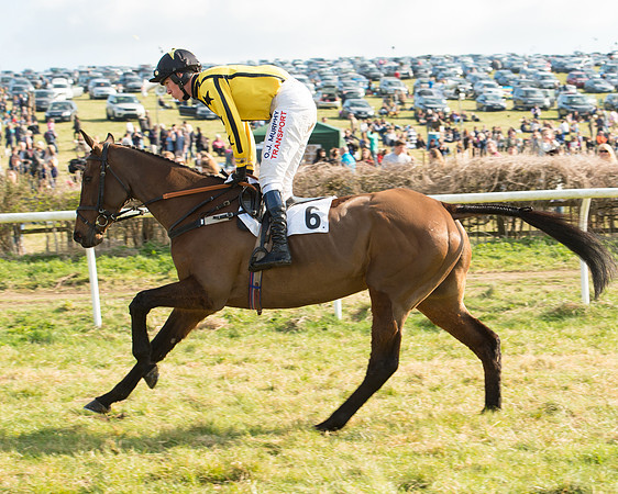 Race 5 - Restricted (21 of 93).jpg