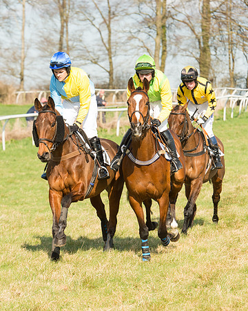 Race 5 - Restricted (28 of 93).jpg