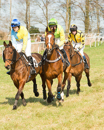 Race 5 - Restricted (29 of 93).jpg