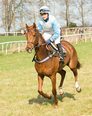 Race 5 - Restricted (30 of 93).jpg