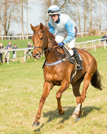 Race 5 - Restricted (31 of 93).jpg