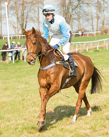 Race 5 - Restricted (32 of 93).jpg
