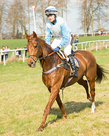 Race 5 - Restricted (33 of 93).jpg