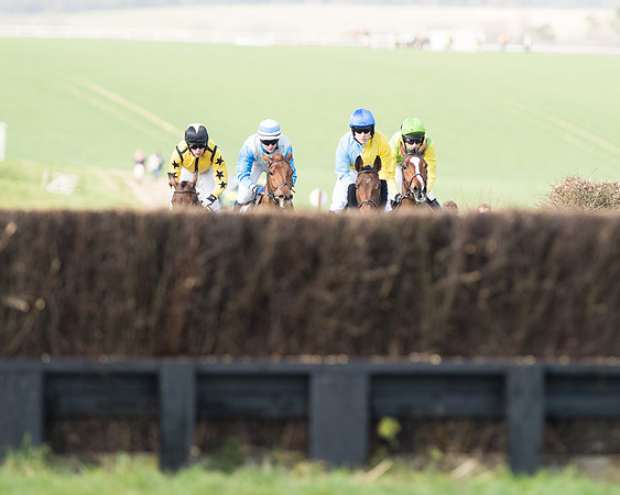 Race 5 - Restricted (43 of 93).jpg