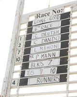Race 6 - Open Maiden (1 of 136).jpg