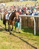 Race 6 - Open Maiden (6 of 136).jpg