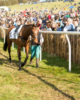 Race 6 - Open Maiden (7 of 136).jpg