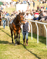 Race 6 - Open Maiden (8 of 136).jpg