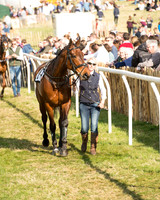 Race 6 - Open Maiden (9 of 136).jpg